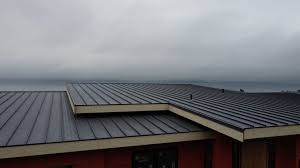 Professional Roofing Services in Sophia, WV